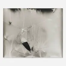 Klea McKenna, Untitled (from the There are some mornings when the sky looks like a road series), 2010, gelatin silver photogram