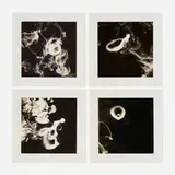 Donald Sultan, Smoke Rings (Medium)
