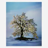 Didier Massard, Spring Tree, 2002, Cibachrome print mounted to acrylic