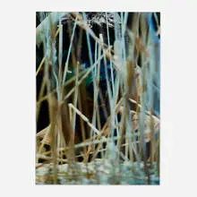 Cindy Sherman, Untitled (from the For Beuys portfolio), 1987, Ektacolor print