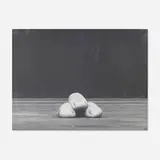 Arno Rafael Minkkinen, Mountain Lakes, New Jersey, 1977, gelatin silver print mounted to aluminum