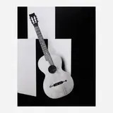 Gitarre-01-2009 (from the Flowers, Fruits & Portraits series) by Shirana Shahbazi, 2009, gelatin silver print mounted to aluminum, sold Nov 2025