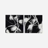 Amanda Means, Fritilaria (two works from the Flowers series), 1998, gelatin silver print
