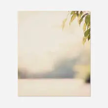 Uta Barth, Ground (95.6), 1995, C-print mounted to panel