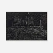 Ceremonial Gathering/A Premonitional Achnabreck, Argyllshire, Scotland by Thomas Joshua Cooper, 1991, gelatin silver print, sold Nov 2025