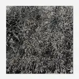 Craigie Horsfield, Hayesfield Park, Bath, September, 1989, 1990, black and white photograph mounted to aluminum panel