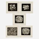 Frederick Sommer, The Birth of Venus, 1991-93, dust-grain photogravure mounted to Somerset