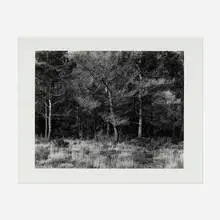 Harry Callahan, Aix-en-Provence, gelatin silver print