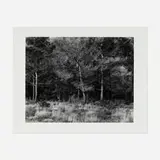 Harry Callahan, Aix-en-Provence