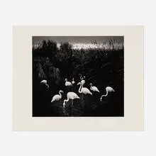 Mt. Etjo, Namibia, 2005 by Pentti Sammallahti, gelatin silver print, sold Nov 2025
