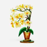 David Gerstein, Flowers