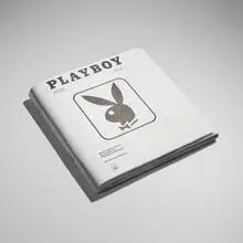 Barbara Bloom, Playboy Volumn XLI, No. 1 (from the Braille Edition), 1995, offset lithograph, bound paper