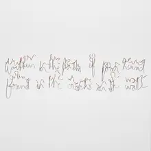 Fred Eerdekens, Written in the Palm of Your Hand Found in the Cracks in the Wall, 2004, copper wire
