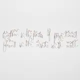 Fred Eerdekens, Written in the Palm of Your Hand Found in the Cracks in the Wall, 2004, copper wire