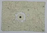 William T. Wiley, Thank Yute Rubble, Color lithograph