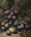 Oliver Clare, Still Life with Plums