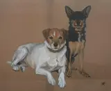 American School, Portrait of Two Dogs, Gouache