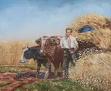 Sandow, Man with Team of Oxen in Hay Field, Oil on canvas.