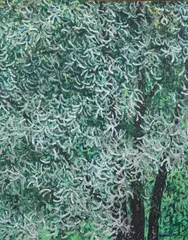Leonard Maurer, Wild Cherry, Oil on canvas