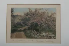 The Orchard Bend by Wallace Nutting, Colored print., offered Jul 2012