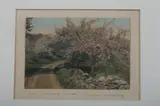Wallace Nutting, The Orchard Bend, Colored print.