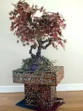Christina Lei Rodriguez, Untitled, MAPLE BONSAI, mixed media assemblage