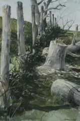 Richard Schlecht, Felled Tree, Watercolor