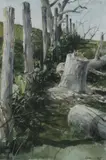 Richard Schlecht, Felled Tree, Watercolor