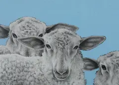 Kathleen Ragusea, Three Sheep Faces, THREE SHEEP FACES, mixed media.