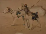 George Safford Waters, Pair of Fox Terriers, Watercolor