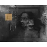 Flor Minor, Untitled