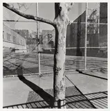 Lee Friedlander, "New York City"