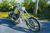 Tom Blackwell, "Naples Custom Chopper"