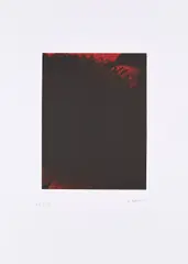 Ohne Titel by Arnulf Rainer, Farbradierung auf Hahnemühle (Wasserzeichen), sold Oct 2020