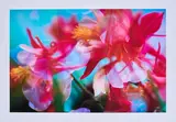 Peter Fischli und David Weiss, Ohne Titel, 1998/99, Inkjet-Print auf beschichtetem Papier