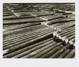 Piet Zwart, Holz Flößerei, 1931/75, Späterer Gelatinesilberabzug auf Agfa-Papier. In Original-Passepartout montiert