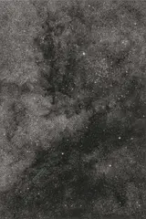 "17h 51min/-18°" by Thomas Ruff, 1991, C-Print mit Diasec Face kaschiert, sold Dec 2020