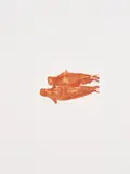 Joseph Beuys, Meerengel Robbe 2 (Aus: Zirkulationszeit), 1982, Farbaquatintaradierung auf Velin
