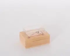 Robert Filliou, Curious Invention of the Gaga Yogi, 1970/76, Holzbox, Plastikbox, Eisennägel