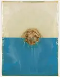 Kleiner Sonnenuntergang by Dieter Roth, 1969, Wurst auf blauem und weißem Papier in Plastiktasche. Auf Glasscheibe montiert, sold Dec 2020