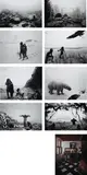 Hiroshi Sugimoto, The Origins of Love, 2004, Eight duotone offset prints and one pigmented colour iris print, on Parilux gloss text paper mounted to 4 ply Rising Museum Board (as issued), with full margins,
