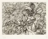 Lucian Freud, Landscape