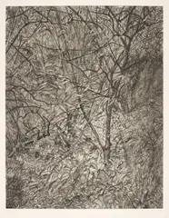 Garden in Winter by Lucian Freud, 1998-99, Etching, on Somerset Textured paper, with full margins,, sold Oct 2015