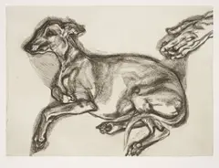 Pluto Aged Twelve by Lucian Freud, 2000, Etching, on Somerset Textured paper, with full margins,, sold Oct 2015