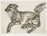 Lucian Freud, Pluto Aged Twelve