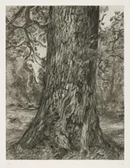 After Constable's Elm by Lucian Freud, 2003, Etching, on Somerset Textured paper, with full margins,, sold Oct 2015