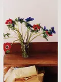 Anemone II by Wolfgang Tillmans, 2003, Chromogenic print, printed 2004, sold May 2015