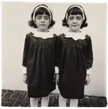Identical Twins, Roselle, N.J. by Diane Arbus, 1967, Gelatin silver print, offered May 2015