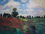 Vik Muniz, The Poppy Field at Argenteuil, after Claude Monet from Pictures of Pigment, 2005, Chromogenic print