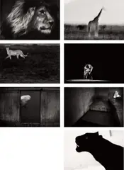 Britta Jaschinski, Light and Dark, London: Self-published, 2015. Seven gelatin silver prints